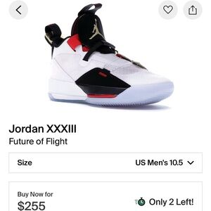 Nike Jordan XXXIII Future of Flight size 10.5